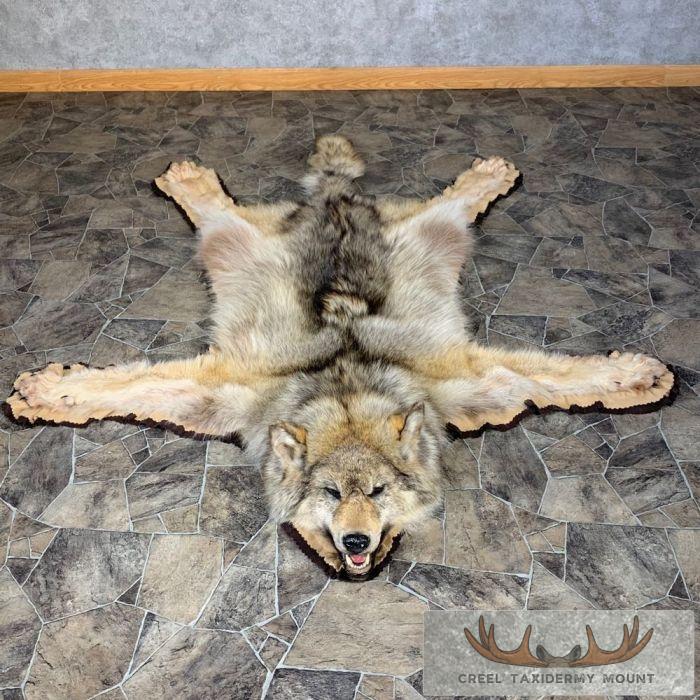 Gray Wolf Full Rug Taxidermy Mount For Sale