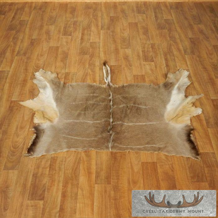 African Kudu Tanned Skin Taxidermy Rug For Sale