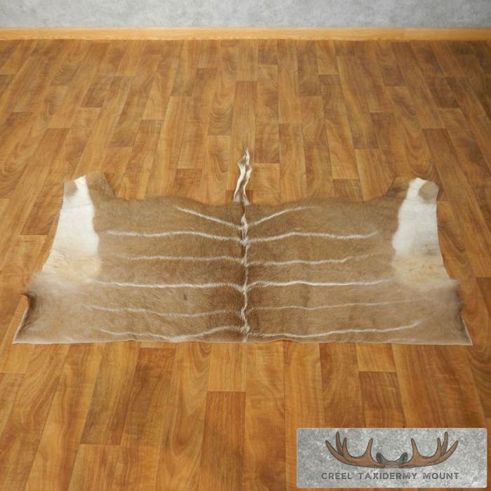 African Kudu Tanned Skin Taxidermy Rug For Sale
