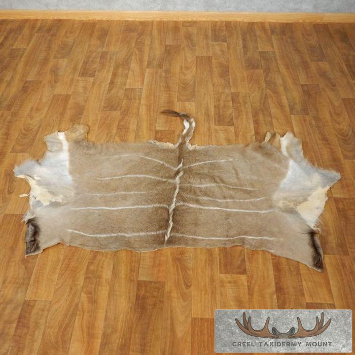African Kudu Tanned Skin Taxidermy Rug For Sale