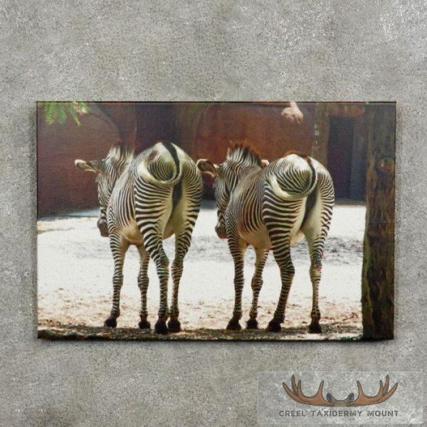 Original Zebra Decor/Photography For Sale