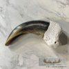Grizzly Bear Claw Taxidermy For Sale