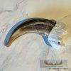 Grizzly Bear Claw Taxidermy For Sale