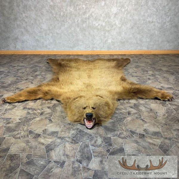 Grizzly Bear Full Size Taxidermy Rug Mount For Sale - Creel Taxidermy