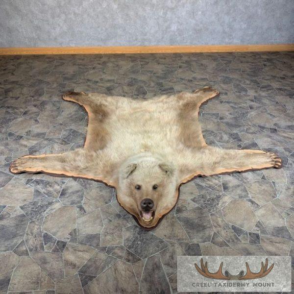 Alaskan Grizzly Bear Full Size Taxidermy Rug Mount For Sale