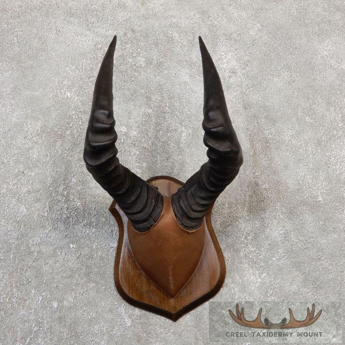 Red Cape Hartebeest Plaque Taxidermy Mount For Sale