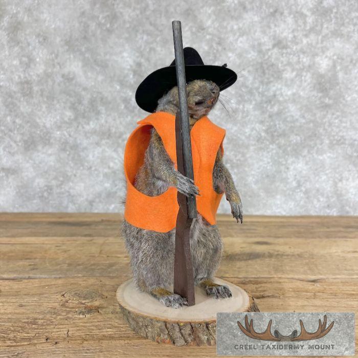 Hunting Cowboy Squirrel Novelty Mount For Sale