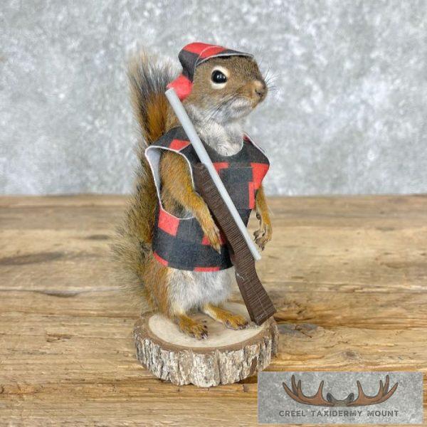 Hunting Squirrel Novelty Taxidermy Mount For Sale