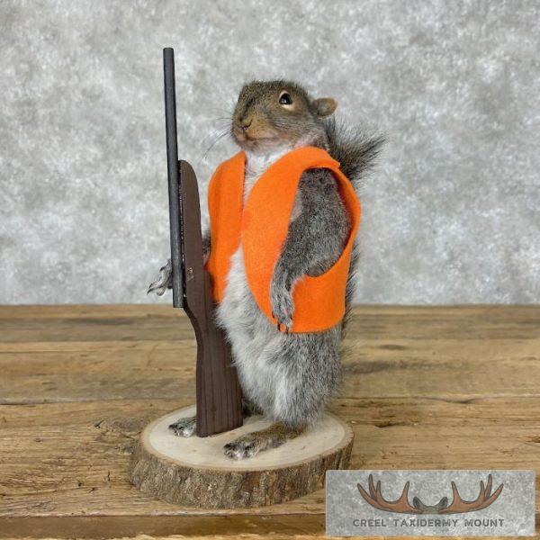 Hunting Squirrel Novelty Taxidermy Mount For Sale