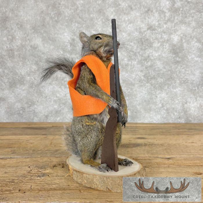 Hunting Squirrel Novelty Taxidermy Mount For Sale
