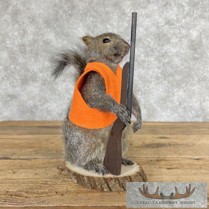 Hunting Squirrel Novelty Taxidermy Mount For Sale