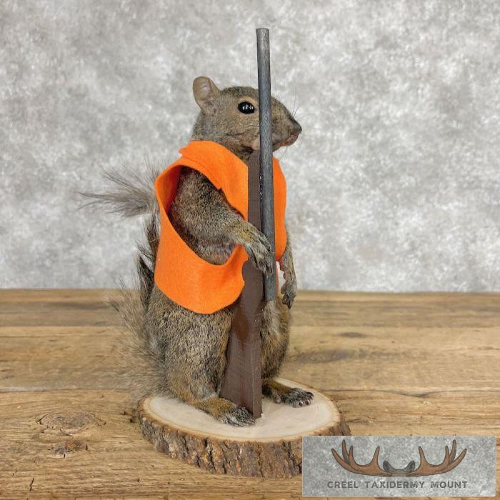 Hunting Squirrel Novelty Taxidermy Mount For Sale
