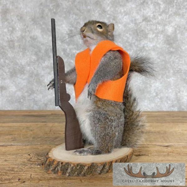 Hunting Squirrel Novelty Taxidermy Mount For Sale