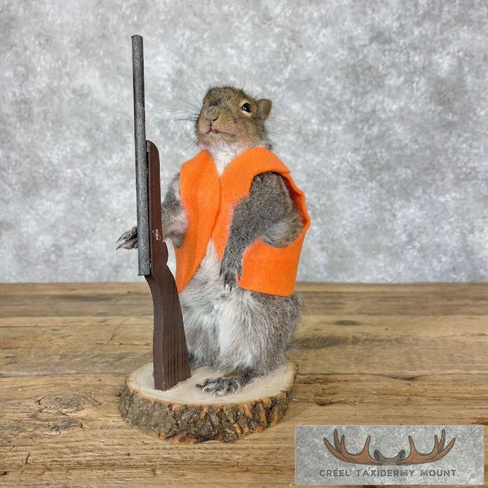Hunting Squirrel Novelty Taxidermy Mount For Sale