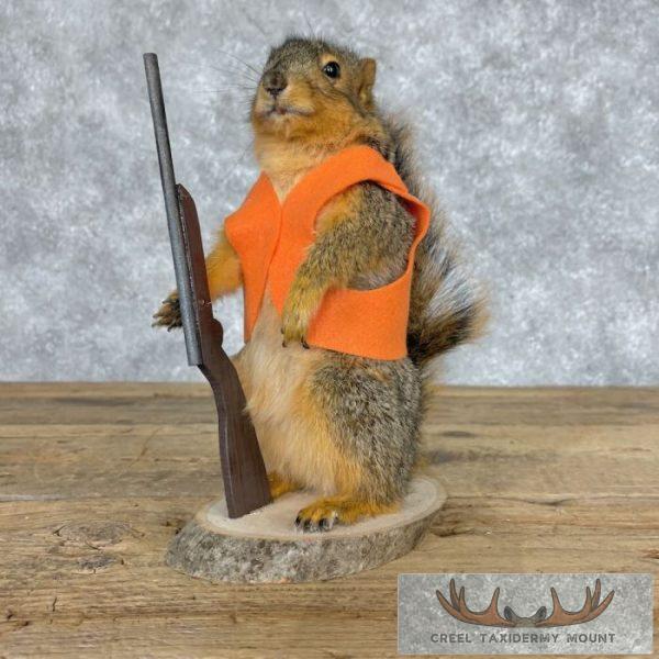 Hunting Squirrel Novelty Taxidermy Mount For Sale