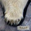 Polar Bear Full-Size Taxidermy Rug Mount For Sale - Image 8