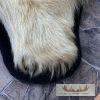 Polar Bear Full-Size Taxidermy Rug Mount For Sale - Image 9