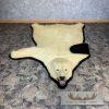 Polar Bear Full-Size Taxidermy Rug Mount For Sale - Image 11