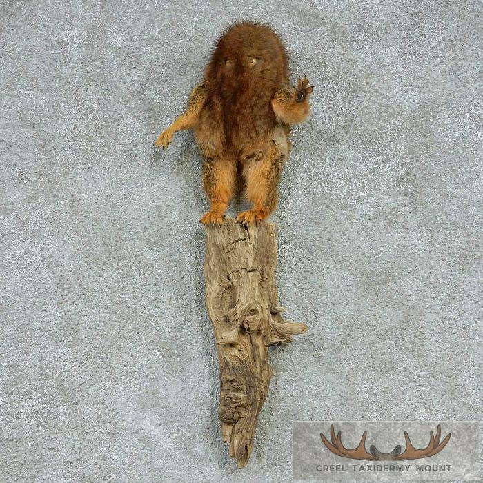 Standing Thing-a-ma-Bob Mount