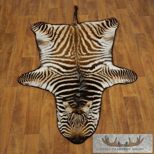 African Burchell's Juvenile Zebra Full Rug