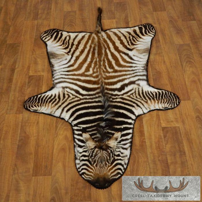 African Burchell's Juvenile Zebra Full Rug