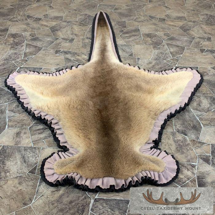 Kangaroo Taxidermy Rug for Sale