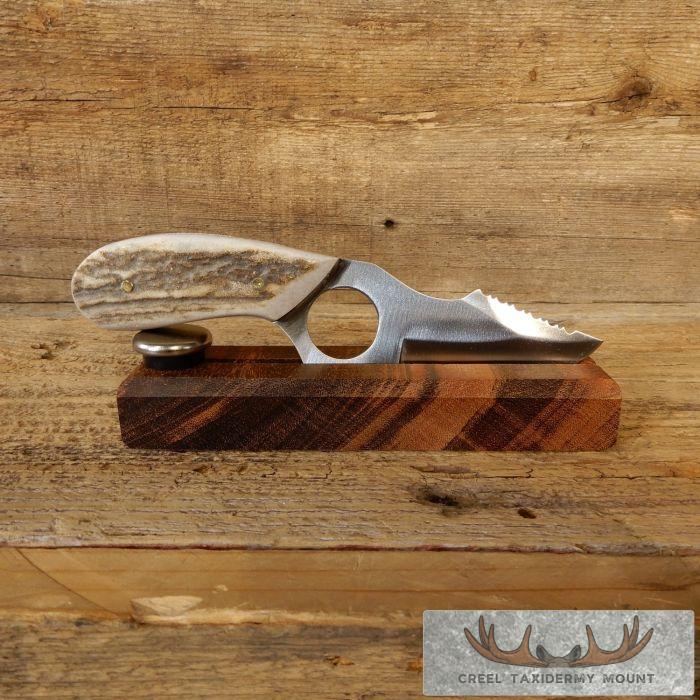 Kodiak Skinning Knife with Elk Antler Handle For Sale