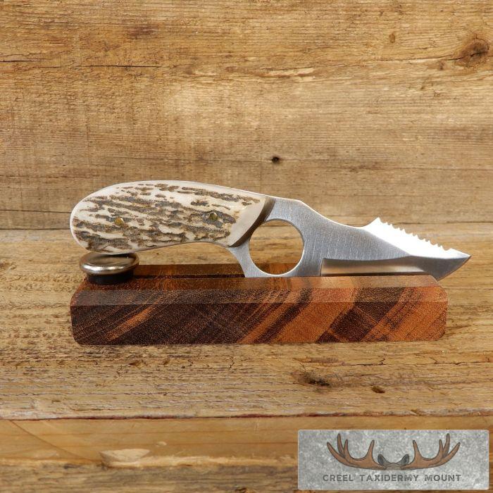 Kodiak Skinning Knife with Elk Antler Handle For Sale