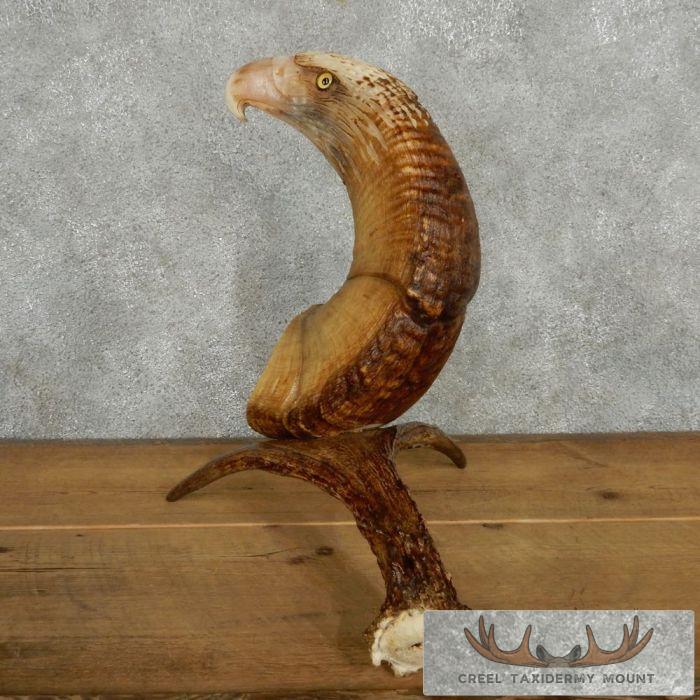 Bighorn Sheep Horn Eagle Head Carving For Sale - Image 6