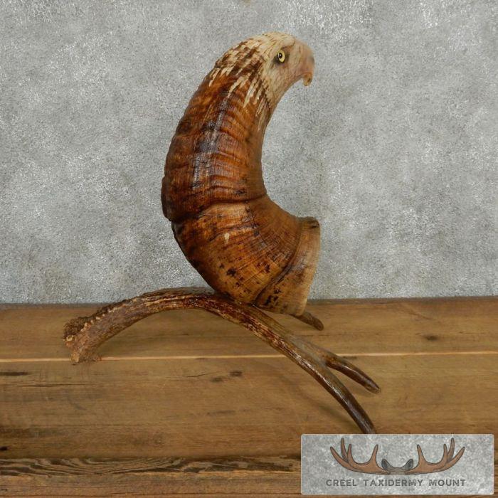 Bighorn Sheep Horn Eagle Head Carving For Sale - Image 7