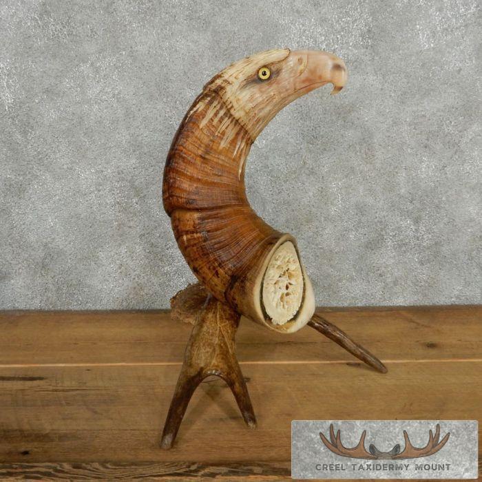 Bighorn Sheep Horn Eagle Head Carving For Sale - Image 4