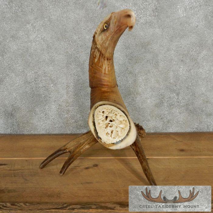 Bighorn Sheep Horn Eagle Head Carving For Sale - Image 8