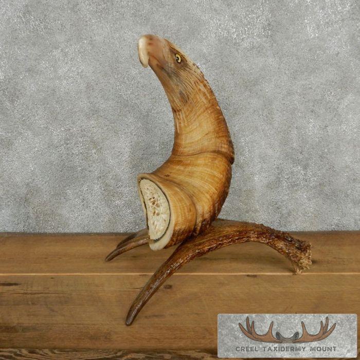 Bighorn Sheep Horn Eagle Head Carving For Sale - Image 5