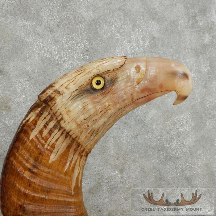 Bighorn Sheep Horn Eagle Head Carving For Sale - Image 3