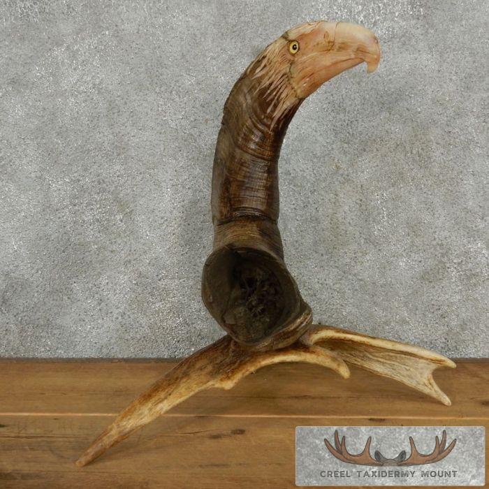 Bighorn Sheep Horn Eagle Head Carving For Sale - Image 4