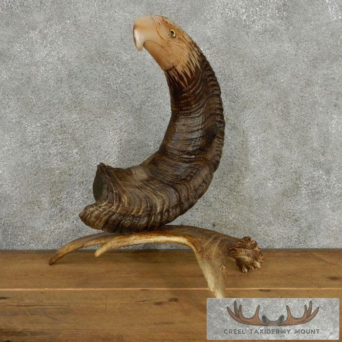 Bighorn Sheep Horn Eagle Head Carving For Sale - Image 6