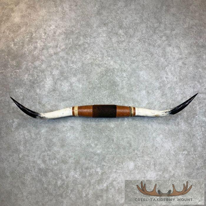 Longhorn Steer Plaque For Sale
