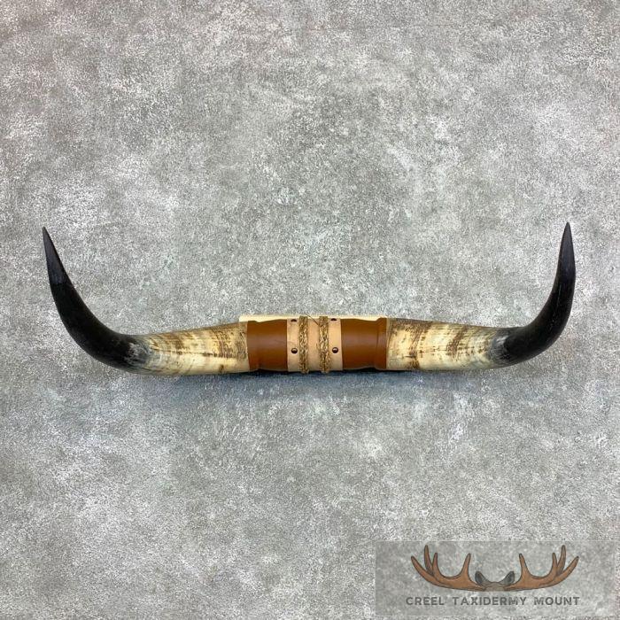 Longhorn Steer Plaque For Sale