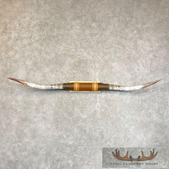 Longhorn Steer Plaque For Sale