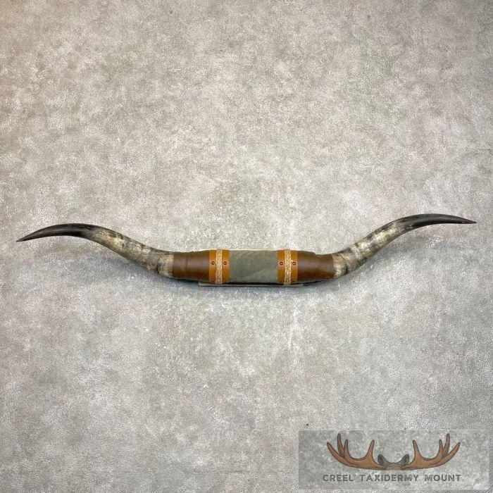 Longhorn Steer Plaque For Sale