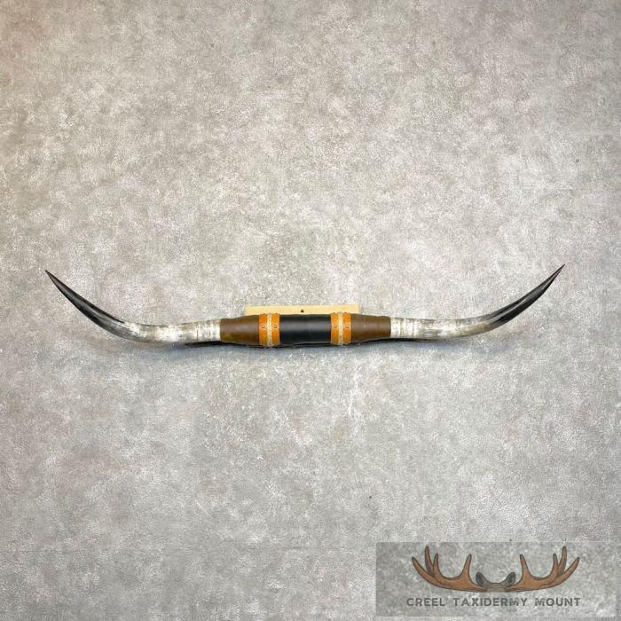 Longhorn Steer Plaque For Sale