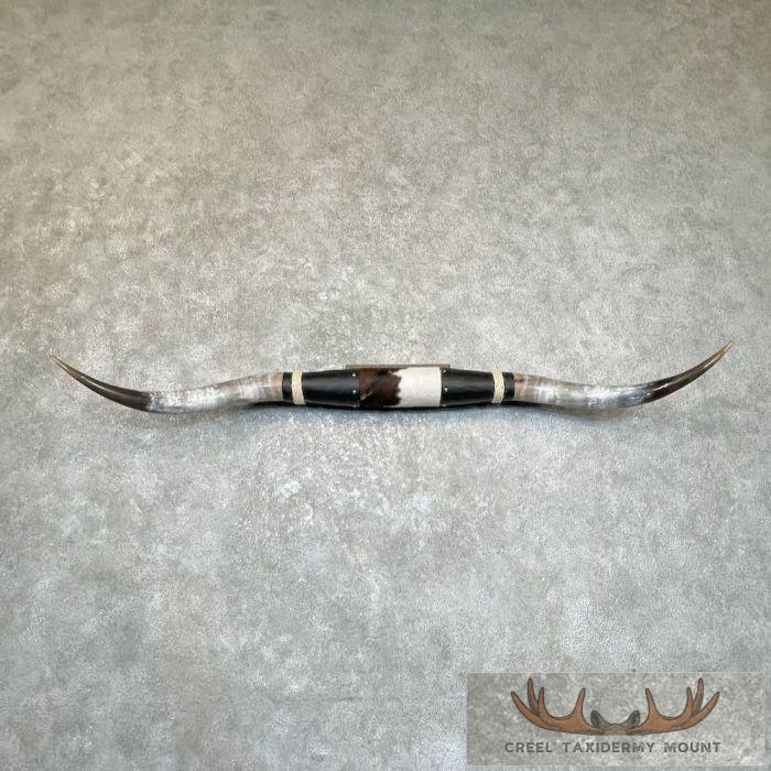 Longhorn Steer Plaque For Sale