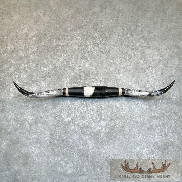 Longhorn Steer Plaque For Sale