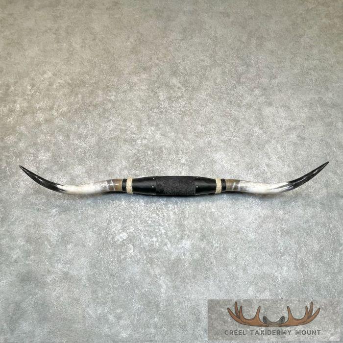 Longhorn Steer Plaque For Sale