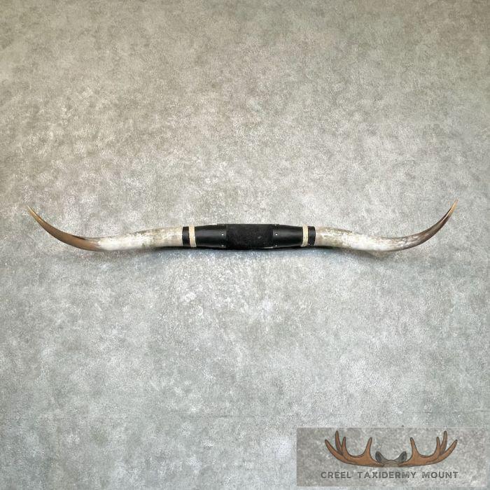 Longhorn Steer Plaque For Sale