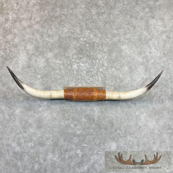 Longhorn Steer Plaque For Sale