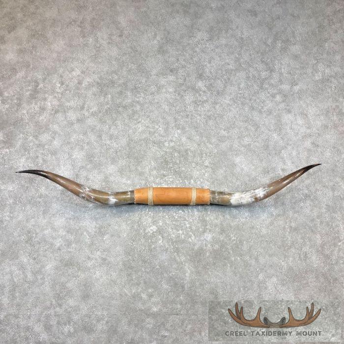 Longhorn Steer Plaque For Sale