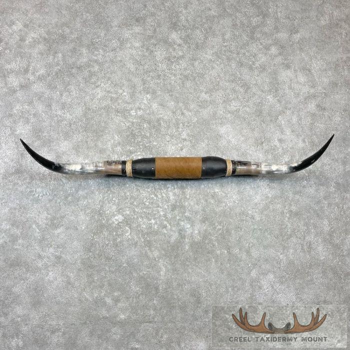 Longhorn Steer Plaque For Sale