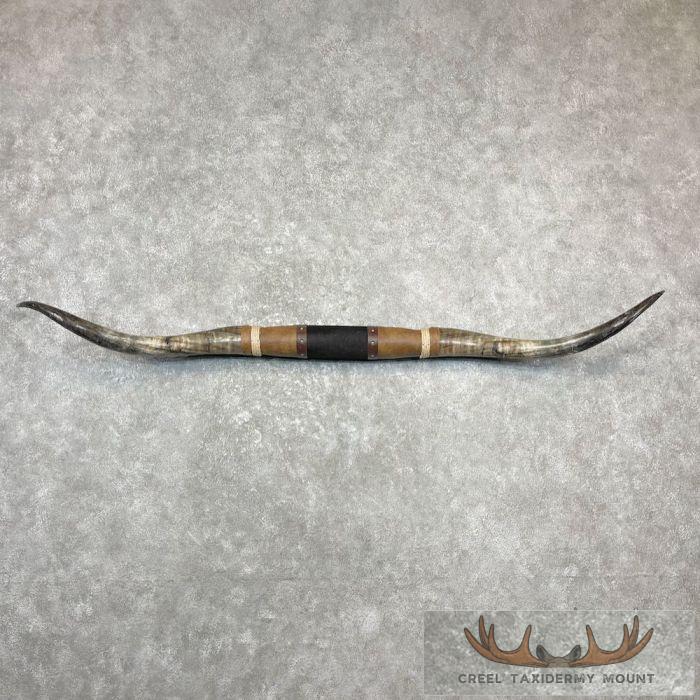 Longhorn Steer Plaque For Sale