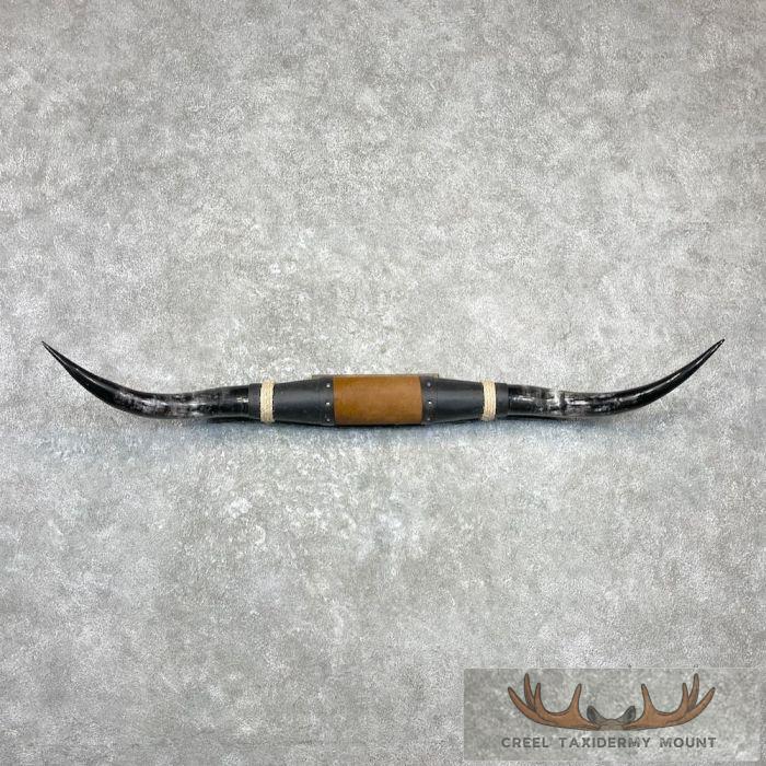 Longhorn Steer Plaque For Sale